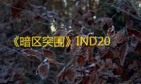 《暗区突围》IND200头盔属性一览
